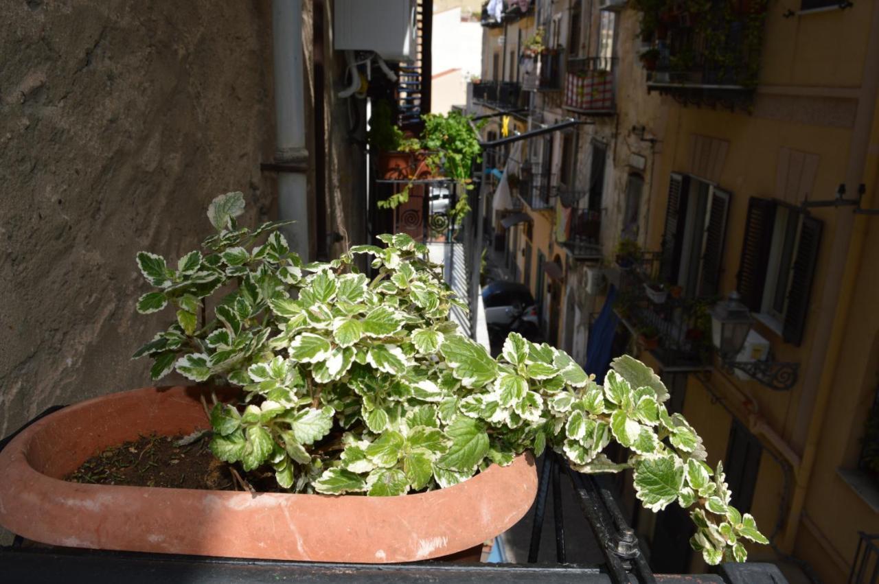 Futtitinni Home Casamia ปาแลร์โม ภายนอก รูปภาพ